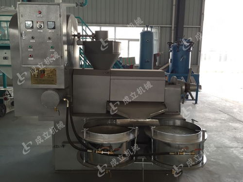 抓住机遇，高效榨油 机械热销冷榨油设备限时优惠火热进行中